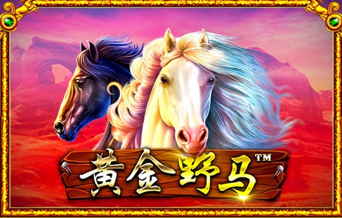 黄金网页app观看大全下载